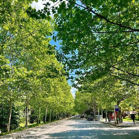 Rolling - Near Blloku